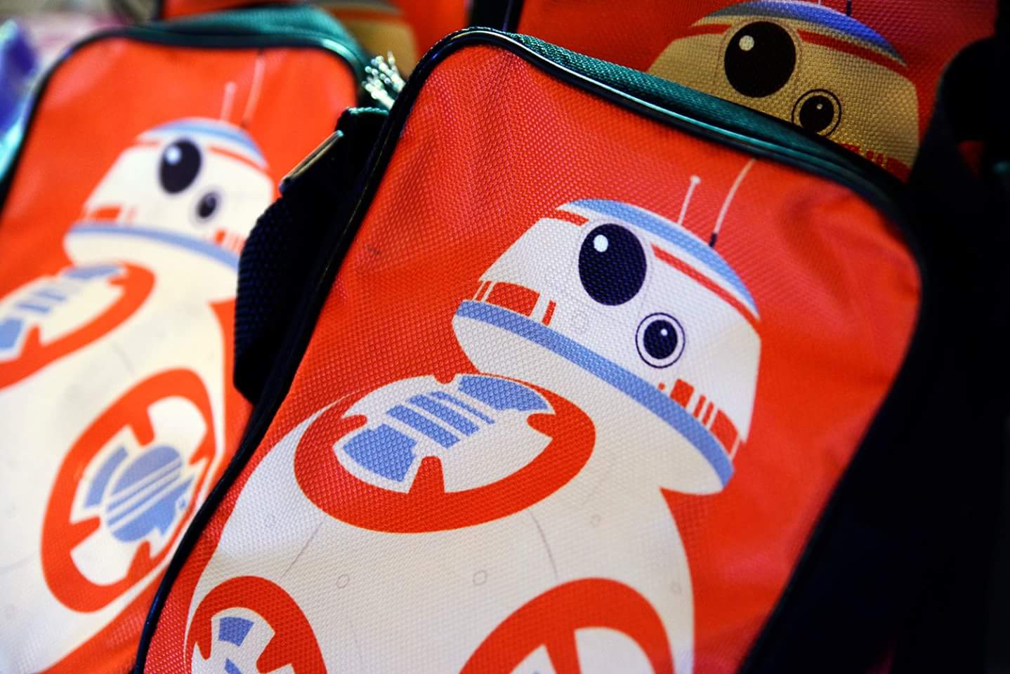 Lunch Bags